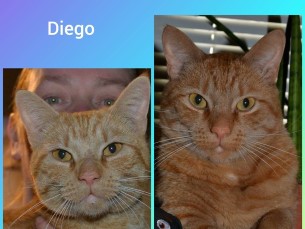 Diego vanust ei tea, 2 aastat tagasi tuli meile ja jäi. 